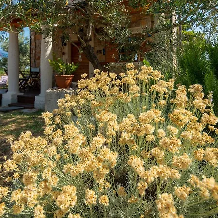 Flaveico Holiday home *